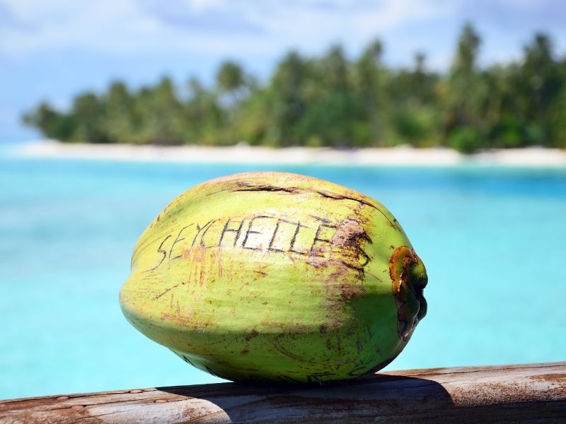 <p>cocco con scritta - Seychelles</p>